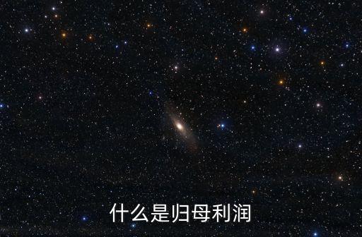 什么是歸母利潤(rùn)
