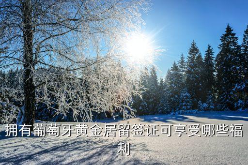 葡萄牙黃金簽證，擁有葡萄牙黃金居留簽證可享受哪些福利