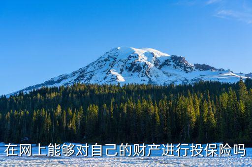 在線投保，在網(wǎng)上能夠?qū)ψ约旱呢?cái)產(chǎn)進(jìn)行投保險(xiǎn)嗎