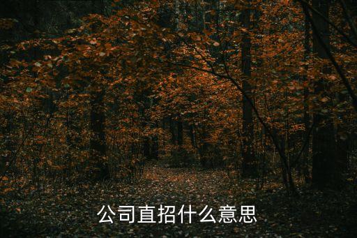 直招是什么意思，查高考填寫直招是什么意思