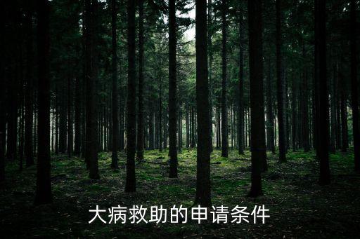 什么條件符合大病救助，什么條件能享受大病救助