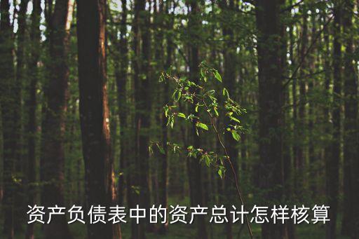 資產(chǎn)負債表中的資產(chǎn)總計怎樣核算