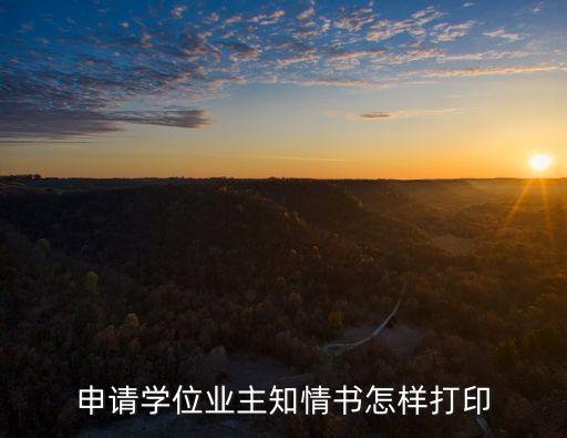 申請學(xué)位業(yè)主知情書怎樣打印