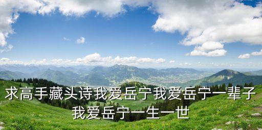 岳寧，從東莞虎門開車到湖南常德 走二廣高速 和岳寧高速 怎么走 從哪里上二
