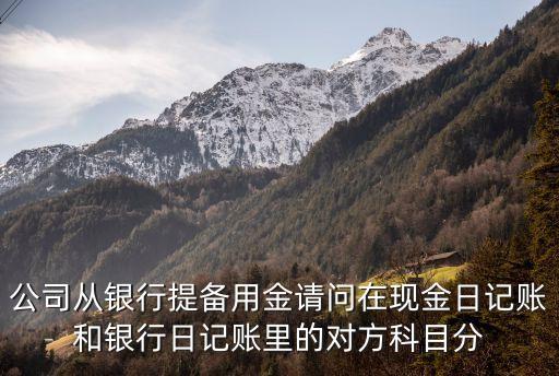 公司備用金，企業(yè)備用金可以發(fā)工資嗎
