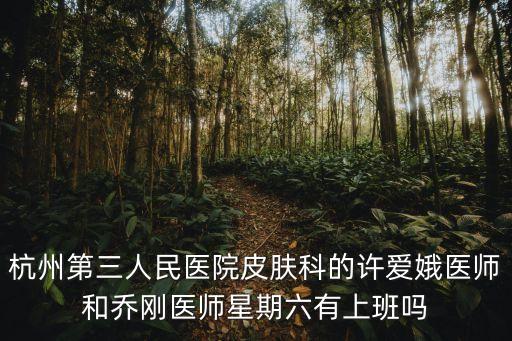 杭州第三人民醫(yī)院皮膚科的許愛娥醫(yī)師和喬剛醫(yī)師星期六有上班嗎