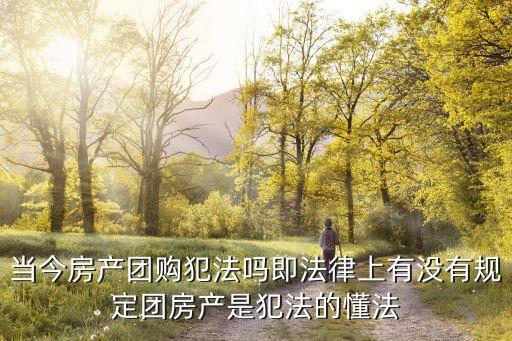 房團購，樓盤團購怎么解釋什么意思