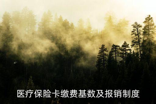 醫(yī)療保險卡繳費基數(shù)及報銷制度