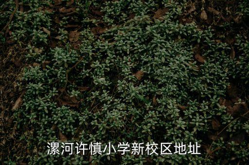 許慎小學，漯河許慎小學新校區(qū)地址