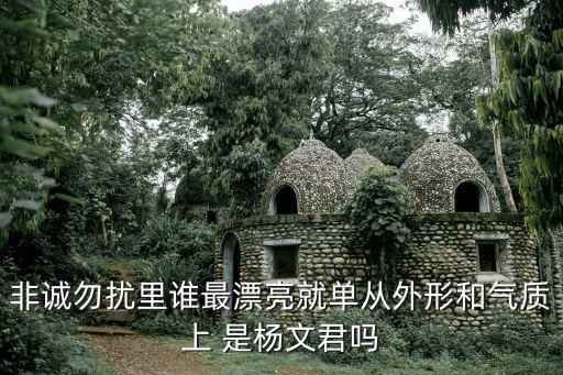 非誠勿擾里誰最漂亮就單從外形和氣質(zhì)上 是楊文君嗎