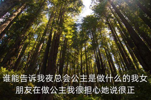 夜總會公主，夜店公主是什么意思
