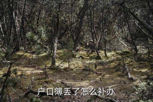 戶口簿丟了怎么補(bǔ)辦