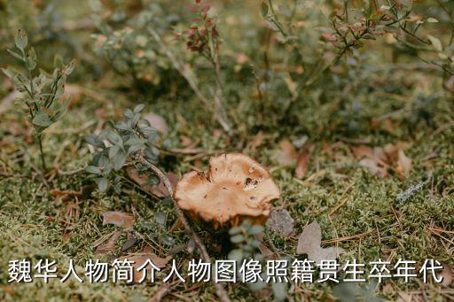 魏華，魏華的拼音