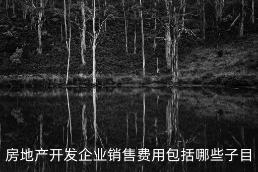 銷售費(fèi)用包括哪些內(nèi)容，銷售費(fèi)用都由那些具體的內(nèi)容