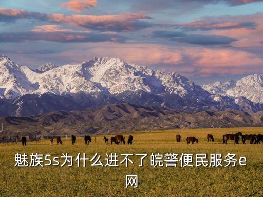 魅族5s為什么進不了皖警便民服務(wù)e網(wǎng)