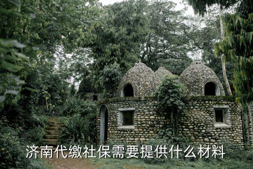 濟(jì)南代繳社保，濟(jì)南代繳社保需要提供什么材料