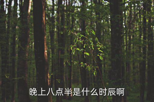 八點半是什么時辰，八點半出生屬什么時