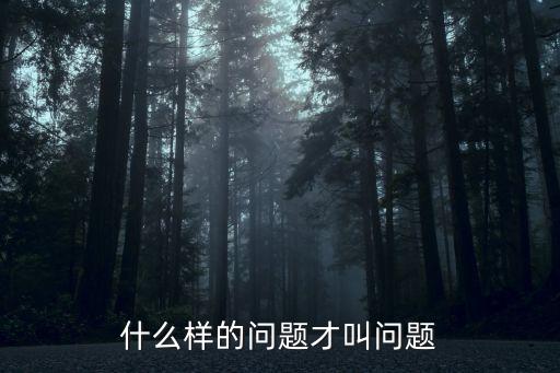 什么樣的問題才叫問題