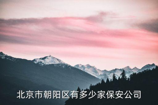 朝陽保安，在北京朝陽區(qū)做保安不給工資應該找哪個部門