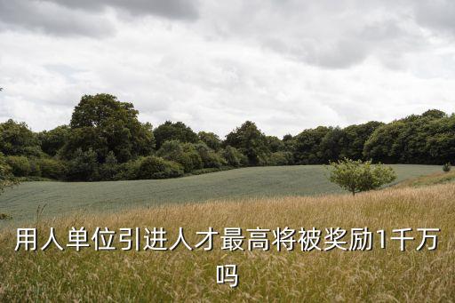 用人單位引進人才最高將被獎勵1千萬嗎