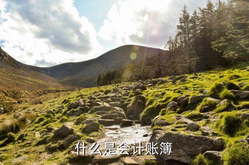 賬薄，什么叫賬簿在會計工作中它主要起哪些作用