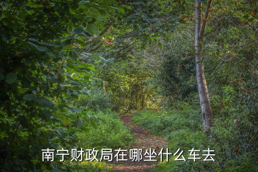 南寧市財(cái)政局，南寧財(cái)政局在哪坐什么車去