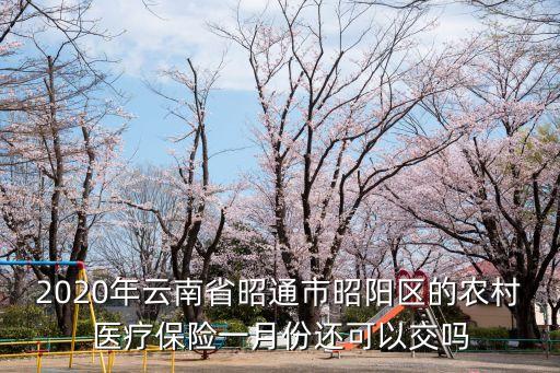 2020年云南省昭通市昭陽區(qū)的農(nóng)村醫(yī)療保險(xiǎn)一月份還可以交嗎