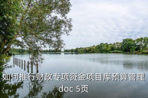 預(yù)算軟約束，經(jīng)濟(jì)學(xué)中的軟約束是什么意思啊是指可以限制可以