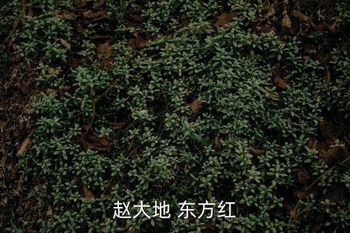 趙大地，幫忙看看 趙大地這 個(gè) 名字怎么樣 謝謝