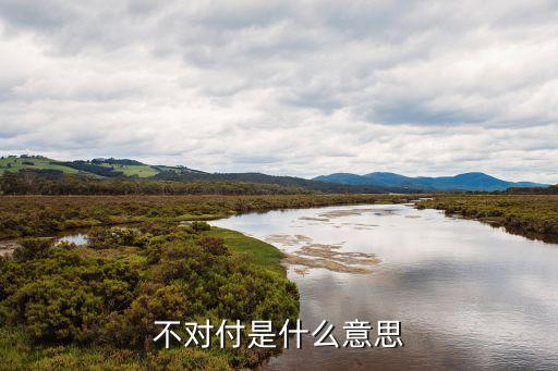 不對付是什么意思