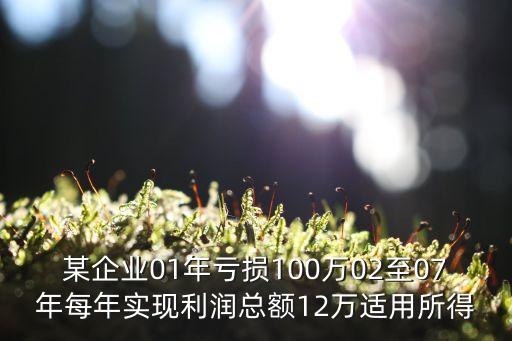 某企業(yè)01年虧損100萬(wàn)02至07年每年實(shí)現(xiàn)利潤(rùn)總額12萬(wàn)適用所得