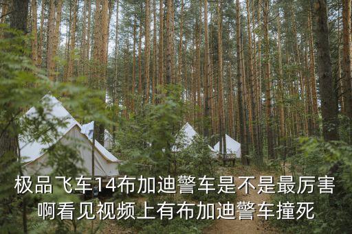 警車撞賓利，極品飛車14布加迪警車是不是最厲害啊看見視頻上有布加迪警車撞死