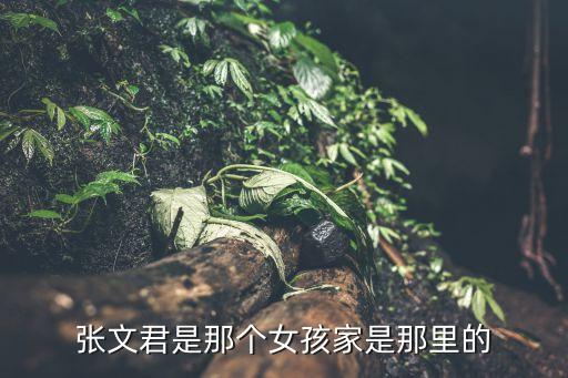 張文君是那個女孩家是那里的