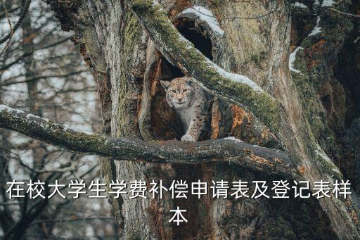 學費補償申請表，在校大學生學費補償申請表及登記表樣本