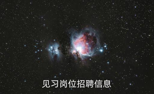 見(jiàn)習(xí)崗位招聘信息