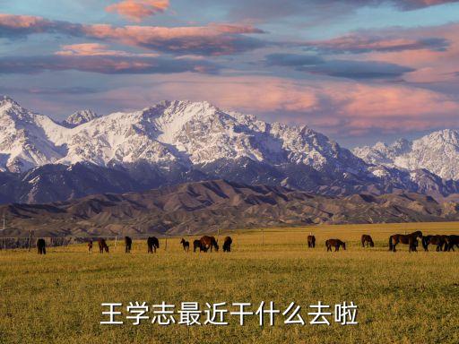王學(xué)志最近干什么去啦