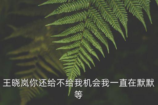 王曉嵐，王曉嵐這個(gè)名字怎么解釋