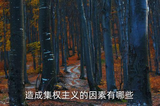 造成集權(quán)主義的因素有哪些