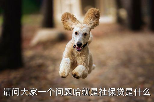 請問大家一個(gè)問題哈就是社保貸是什么