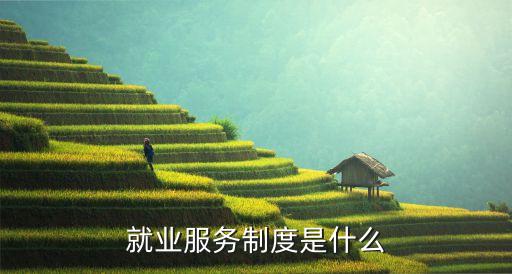 就業(yè)服務(wù)與就業(yè)管理規(guī)定，就業(yè)服務(wù)制度是什么