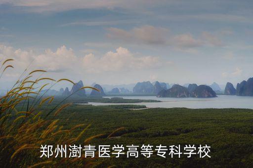 澍青，鄭州澍青醫(yī)學(xué)高等?？茖W(xué)校