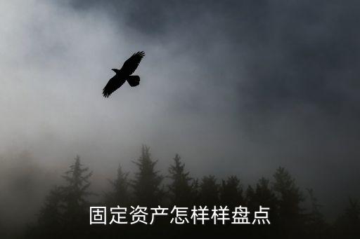 固定資產盤點，什么是固定資產盤查