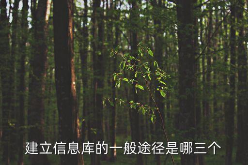 建立信息庫的一般途徑是哪三個