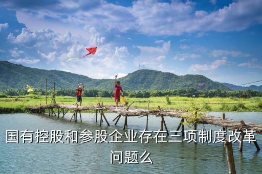 三項制度改革是哪三項，什么是國有企業(yè)三項制度改革