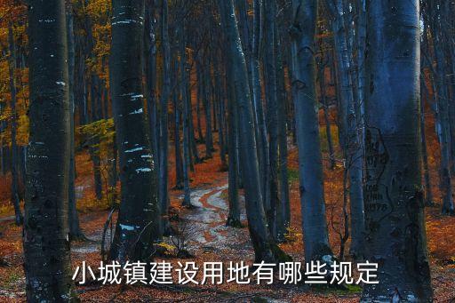 城市建設(shè)用地，小城鎮(zhèn)建設(shè)用地有哪些規(guī)定