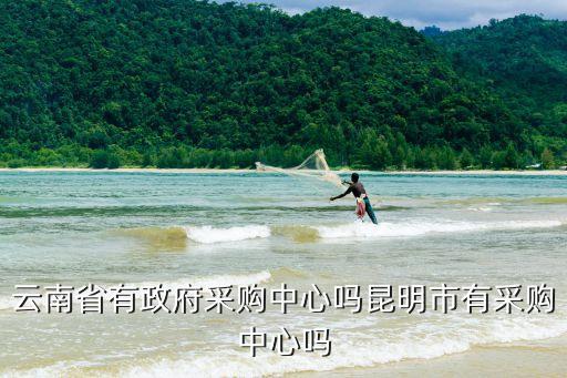 云南省有政府采購中心嗎昆明市有采購中心嗎