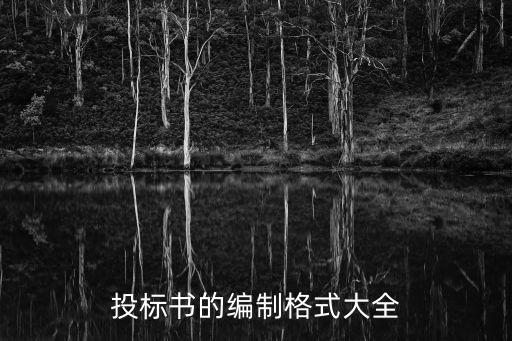 投標(biāo)書模板，投標(biāo)書的編制格式大全
