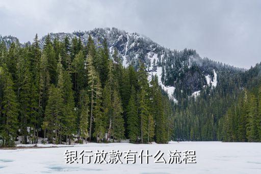 銀行放款有什么流程