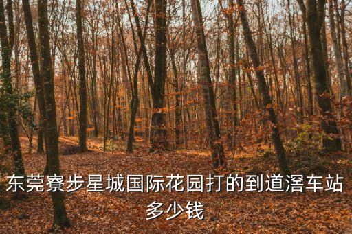 東莞寮步星城國(guó)際花園打的到道滘車站多少錢