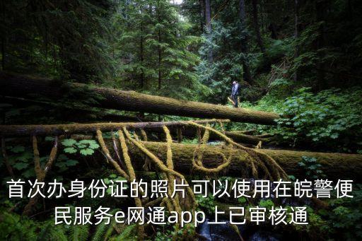 皖警便民服務e網(wǎng)通，為什么在交警12123上查不到違法違紀在皖警便民服務上能查到  搜